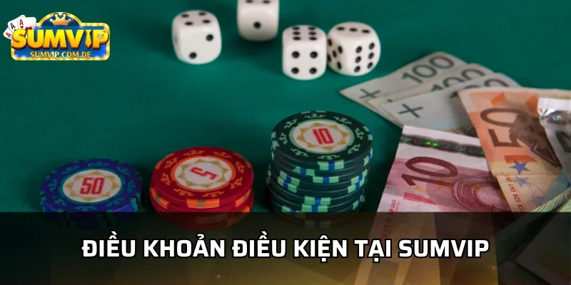 Sơ lược điều khoản điều kiện tại sumvip