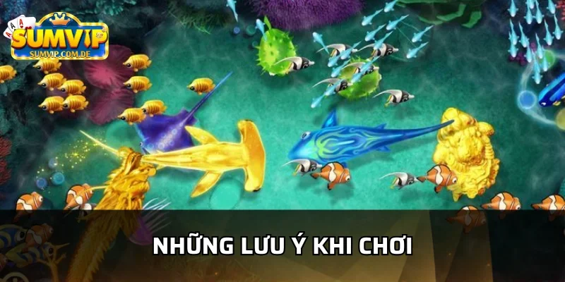 Những lưu ý khi chơi tiểu tiên cá sumvip